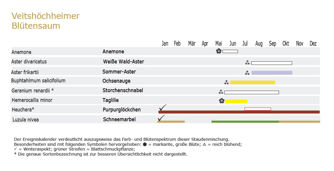 Veitshöchheimer Blütensaum - Staudenmischpflanzung als Fertigmischung vorgemischt