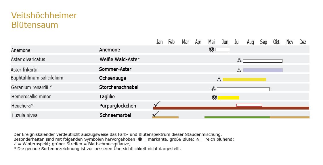 Blütensaum - Staudenmischpflanzung als Fertigmischung vorgemischt