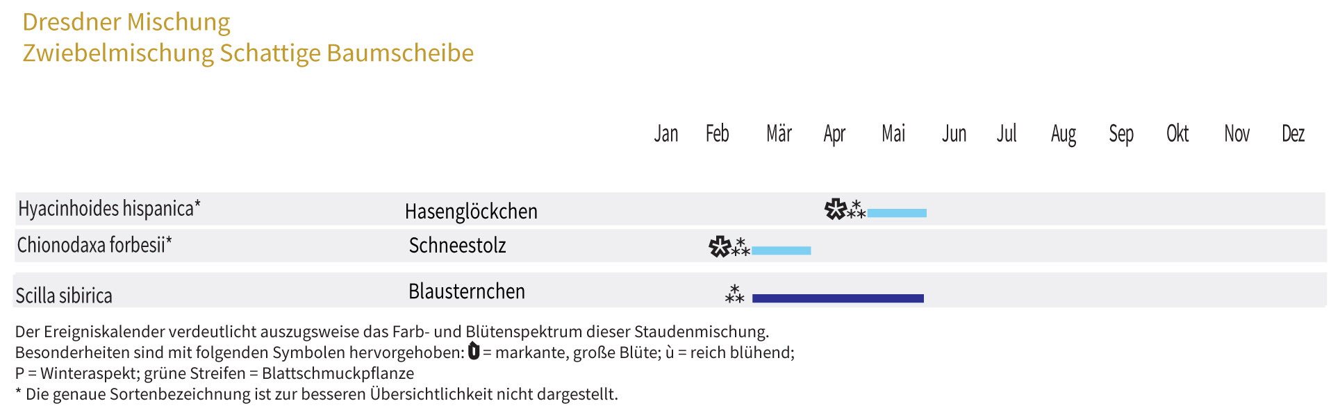 Schattige Baumscheibe - Zwiebel-und Knollenmischung