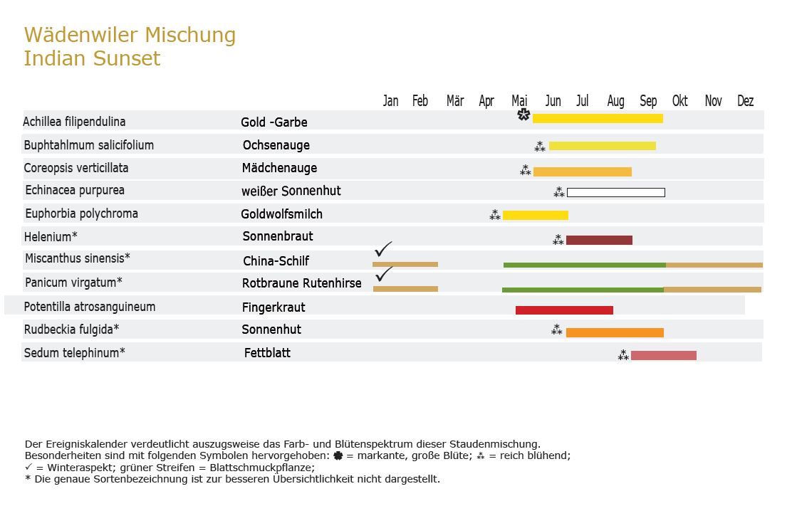 Indian Sunset - Staudenmischpflanzung als Fertigmischung vorgemischt