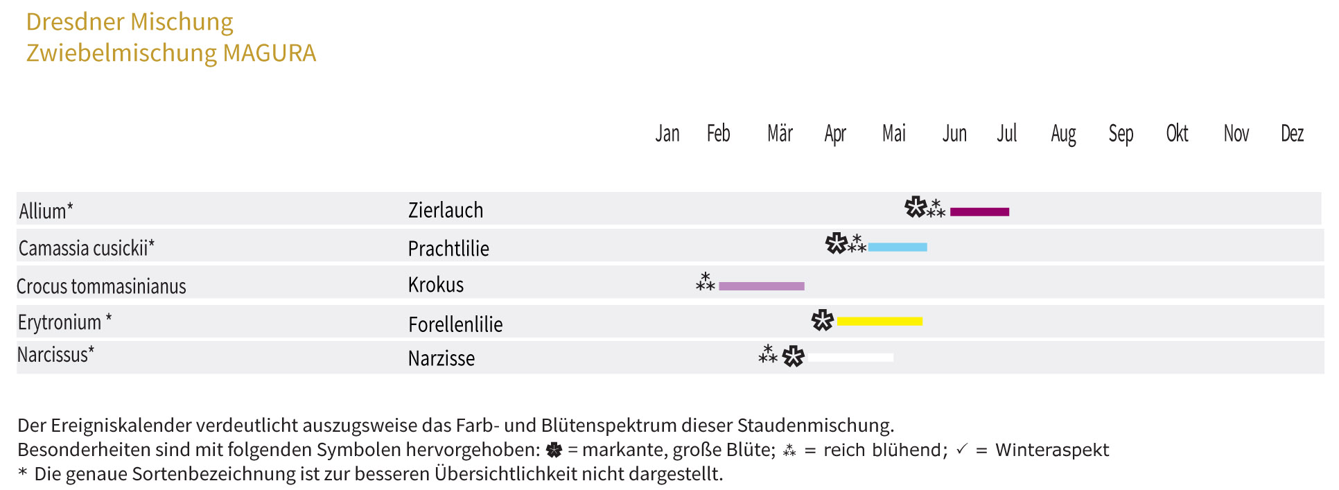 MAGURA-Zwiebel-und Knollenmischung