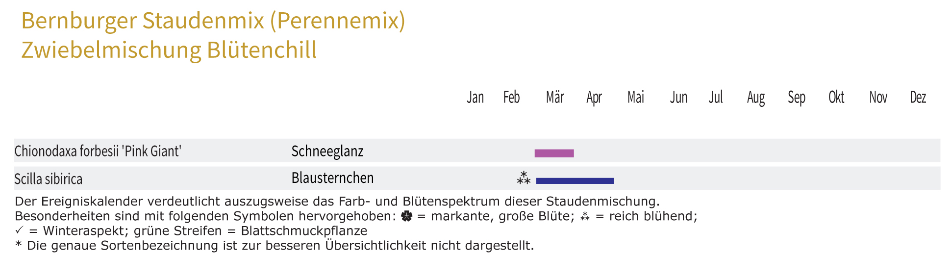 Blütenchill - Zwiebel-und Knollenmischung