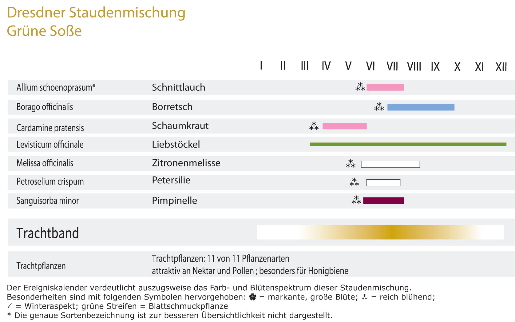 Grüne Soße - Dresdner essbare Staudenmischung