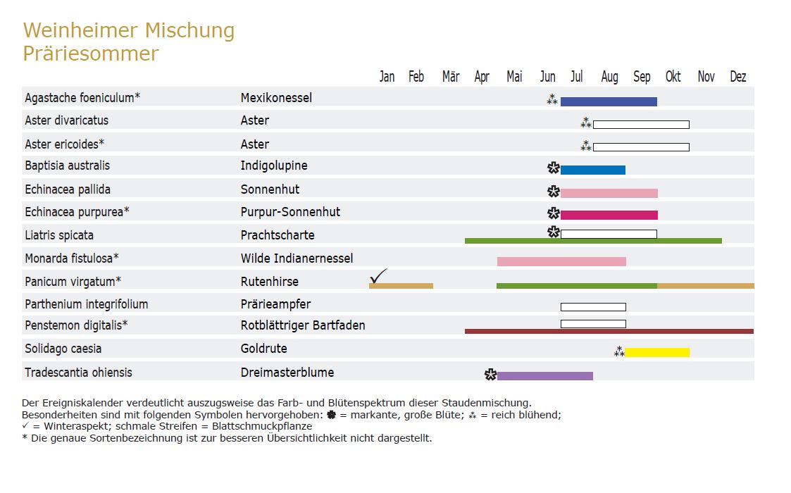 Präriesommer - Staudenmischpflanzung als Fertigmischung vorgemischt