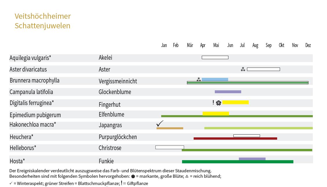 SCHATTENJUWELEN- Staudenmischpflanzung als Fertigmischung