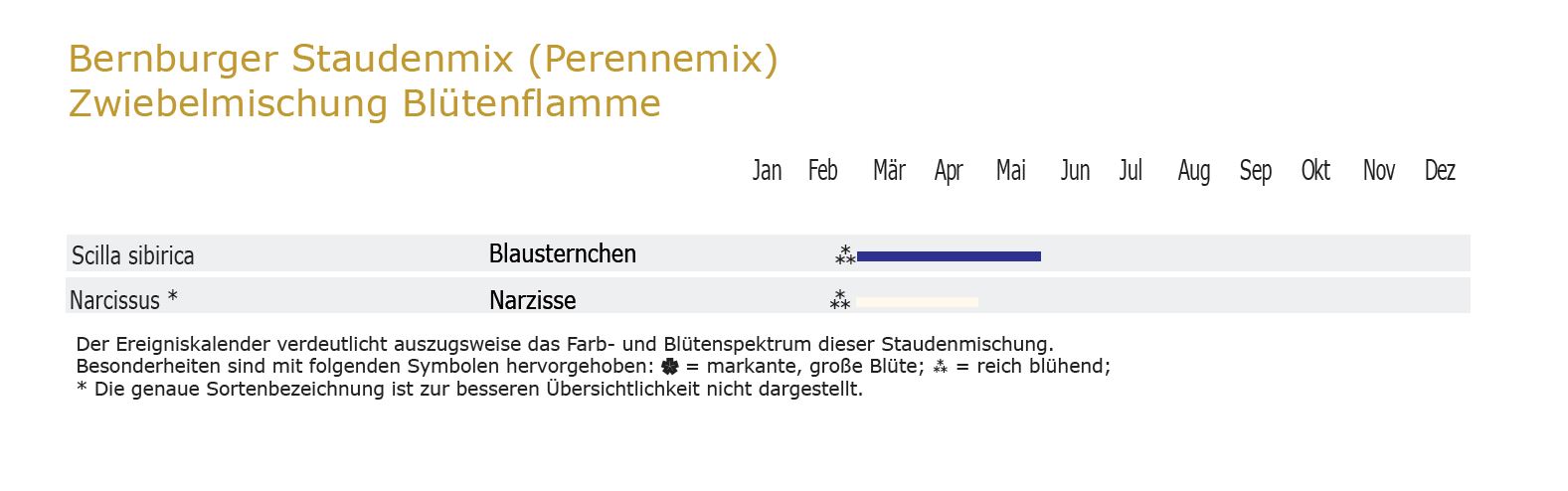 Blütenflamme - Zwiebel-und Knollenmischung