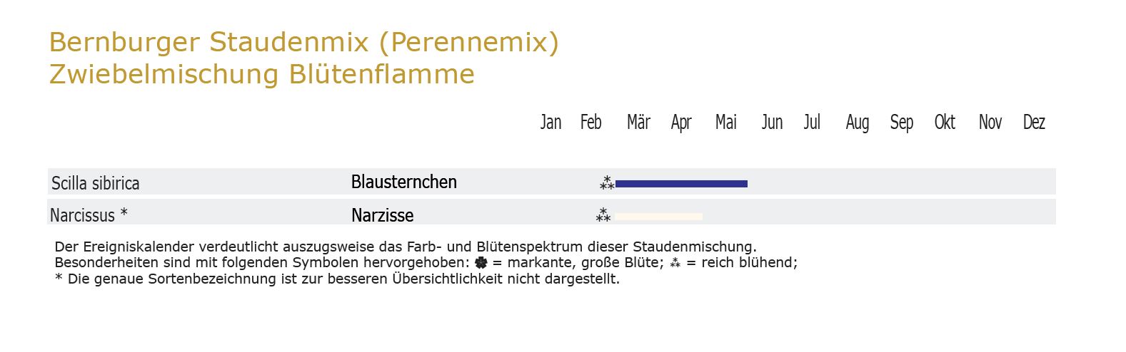 Blütenflamme - Zwiebel-und Knollenmischung