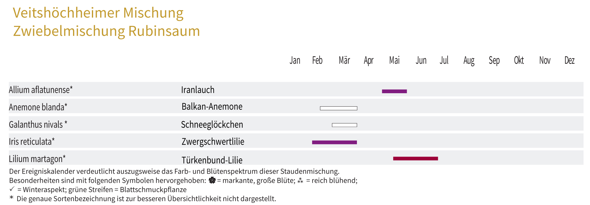 RUBINSAUM - Zwiebel-und Knollenmischung