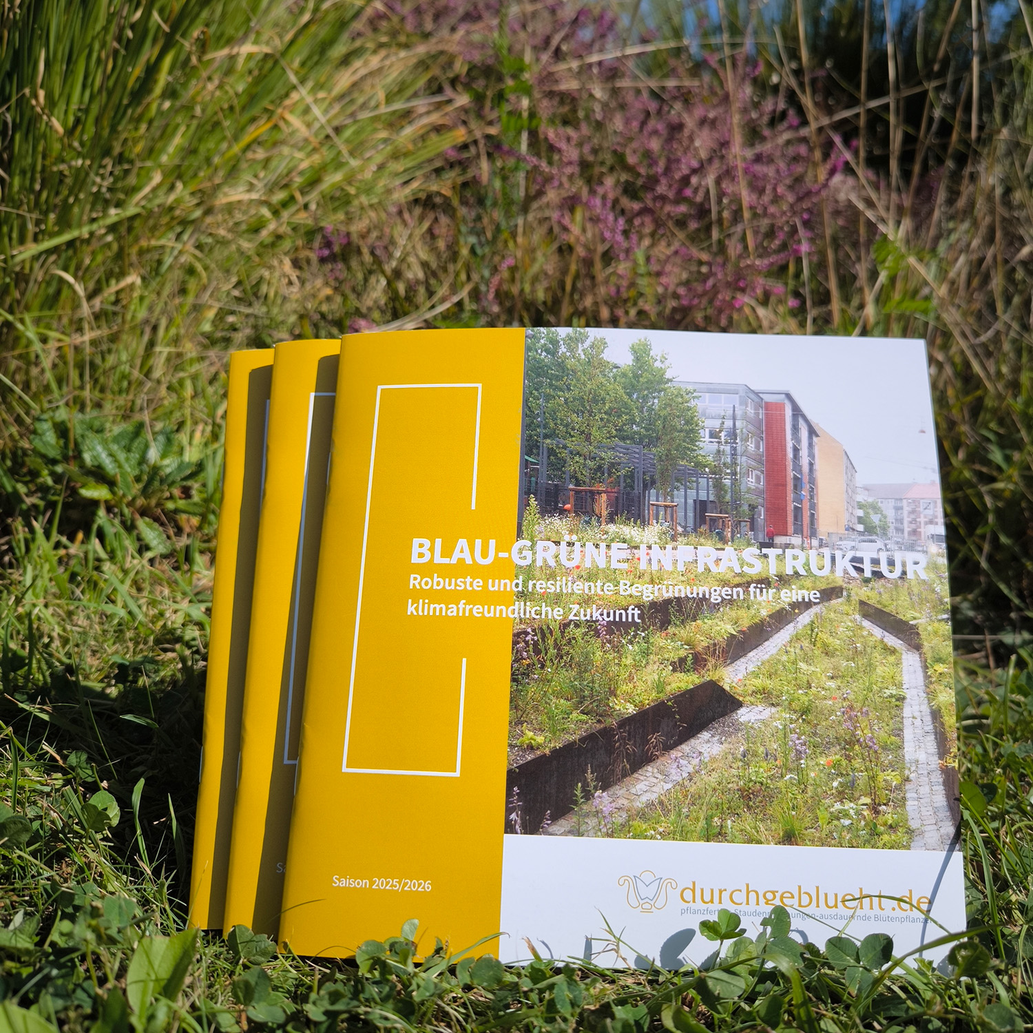BLAU-GRÜNE INFRASTRUKTUR Katalog