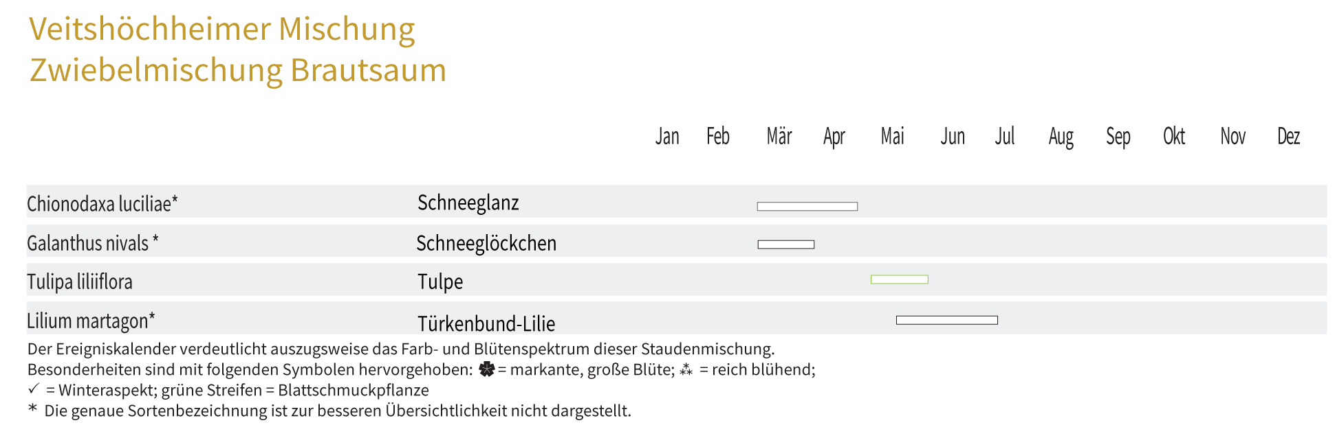 BRAUTSAUM-Zwiebel-und Knollenmischung