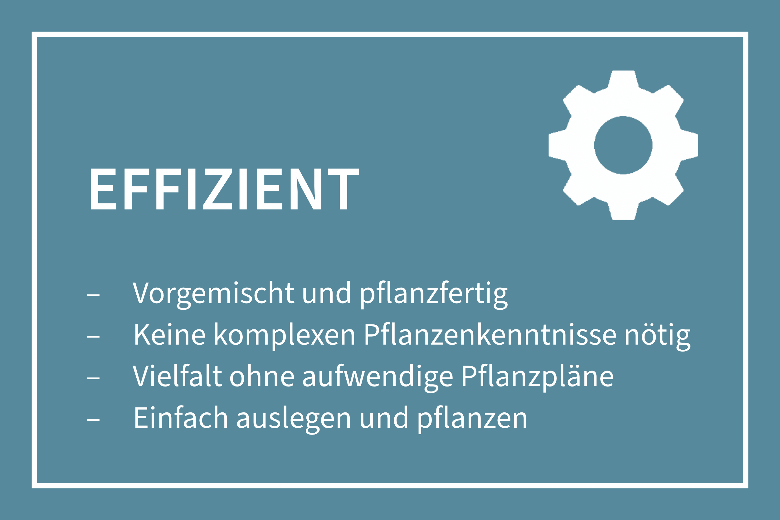 Banner-Grafik mit Text: Effizient - Vorgemischt und pflanzfertig, keine komplexen Pflanzenkenntnisse nötig, ohne aufwendige Pflanzpläne, einfach loslegen