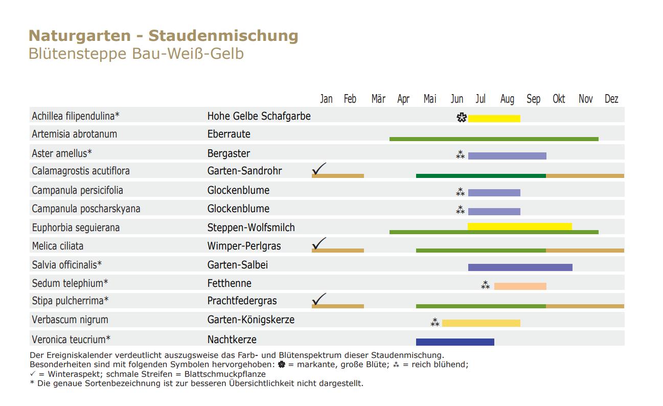 Blütensteppe blau-weiß-gelb - Staudenmischpflanzung als Fertigmischung vorgemischt