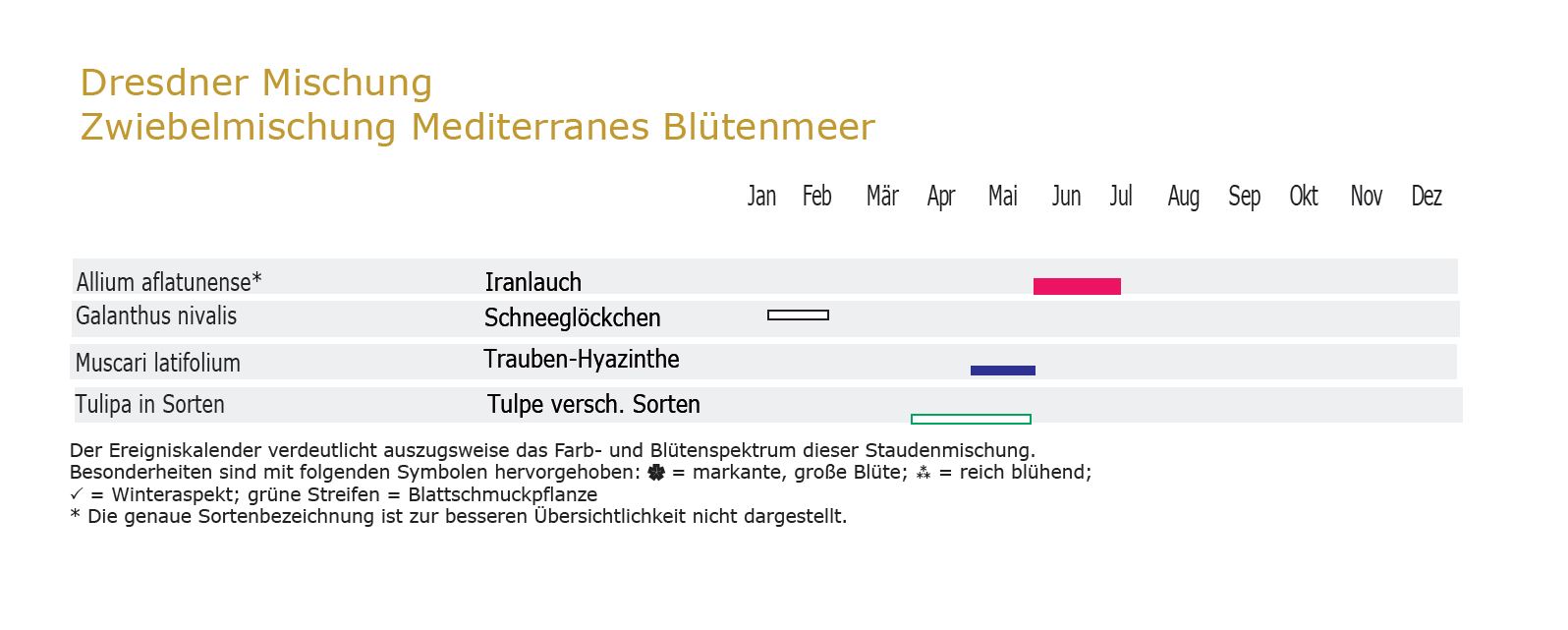 Mediterranes Blütenmeer - Zwiebel-und Knollenmischung