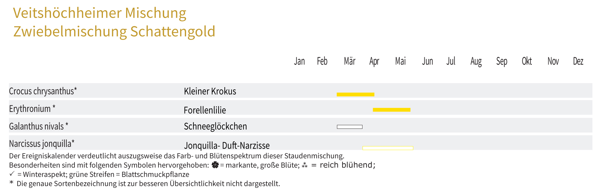 SCHATTENGOLD - Zwiebel-und Knollenmischung