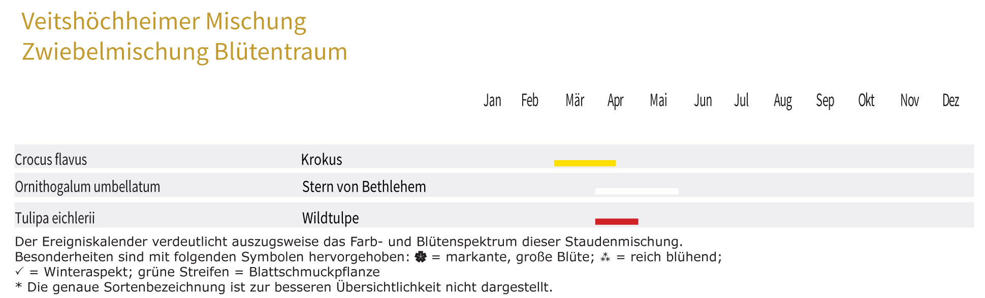 Blütentraum - Zwiebel-und Knollenmischung