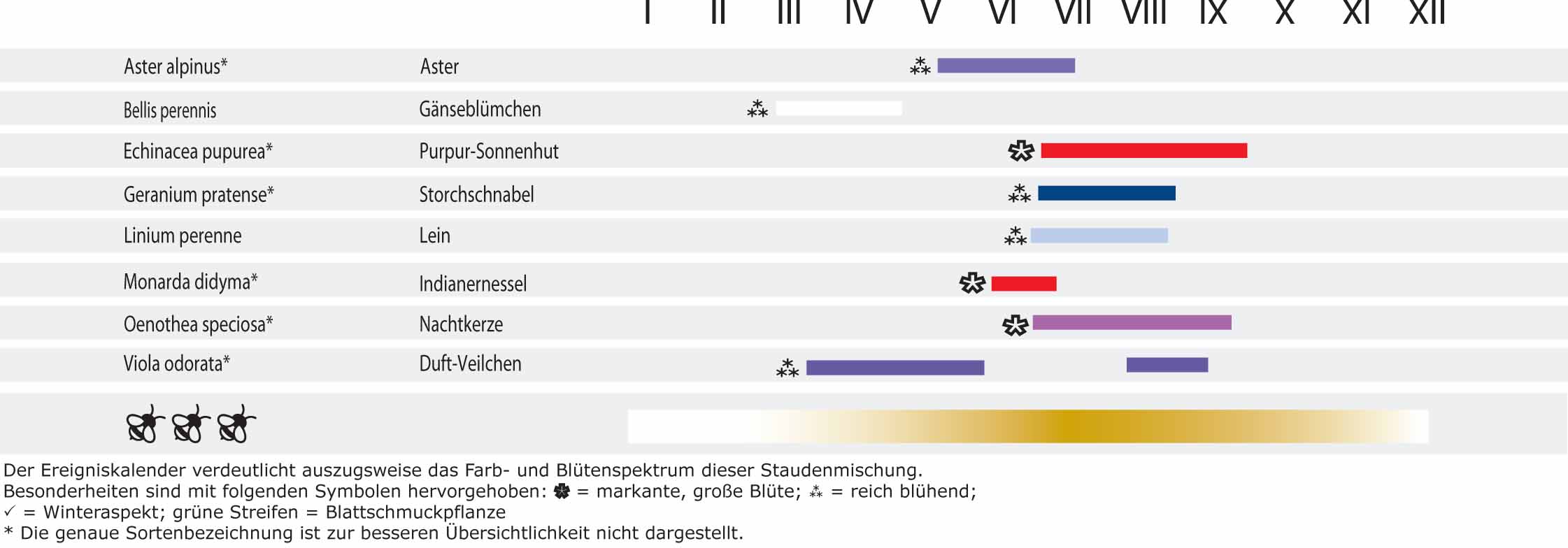 Essbare Blüten blau-weiss-rot - Dresdner essbare Staudenmischung