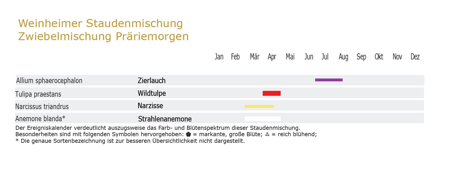 Präriemorgen-Zwiebel-und Knollenmischung