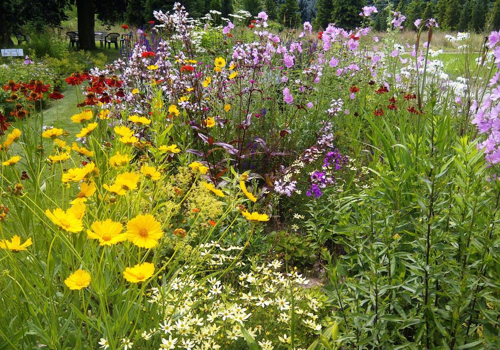 Bunte Landhausblüte - Staudenmischpflanzung als Fertigmischung vorgemischt