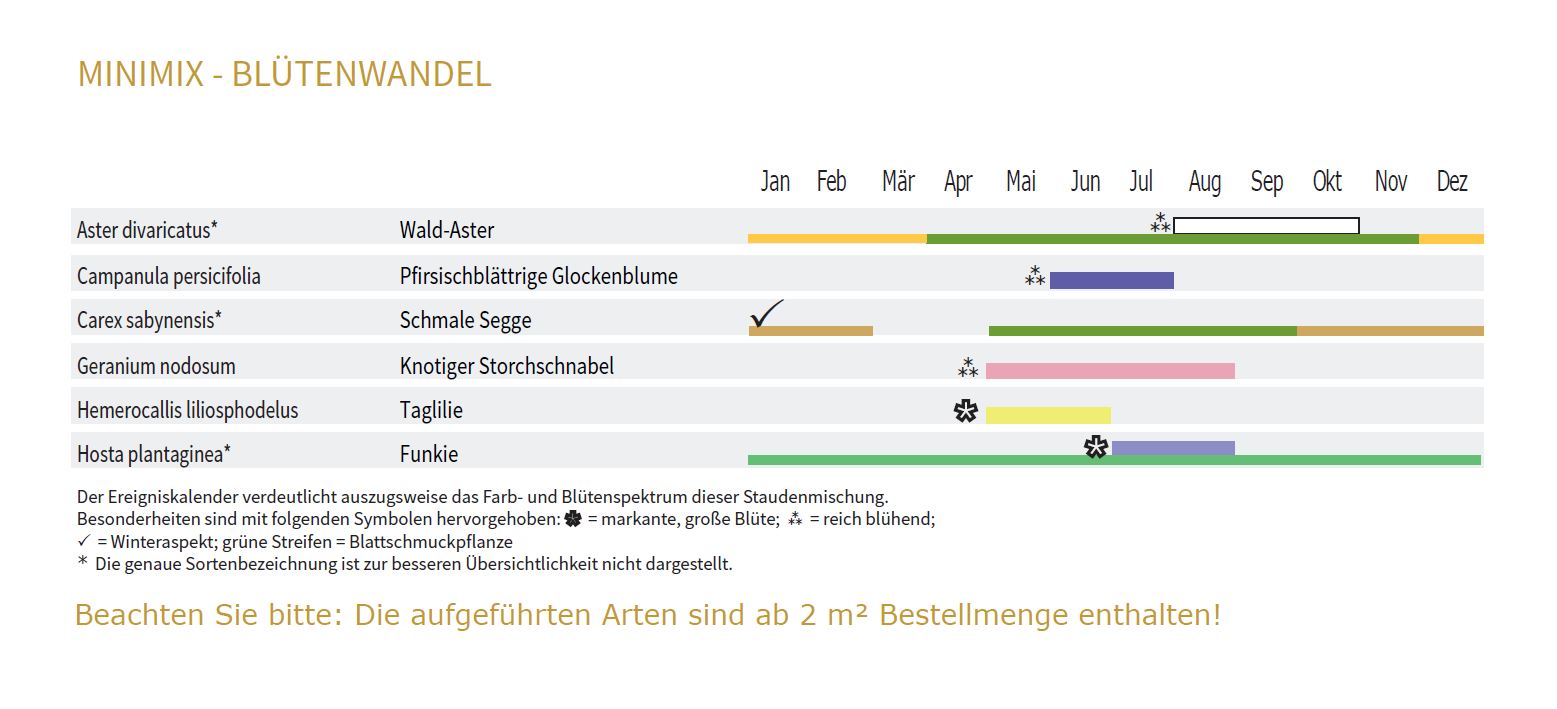 BLÜTENWANDELBOX