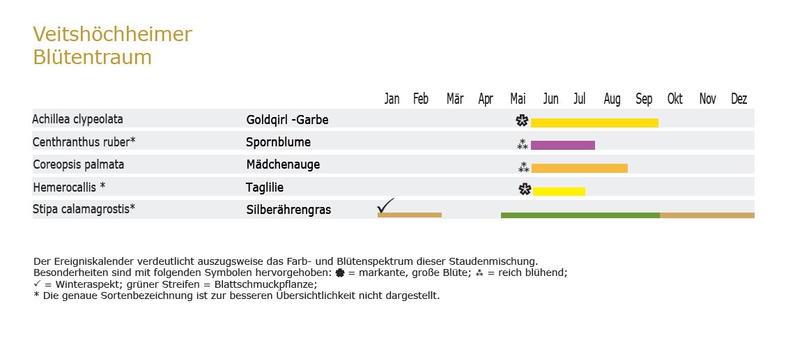 Blütentraum - Staudenmischpflanzung als Fertigmischung vorgemischt