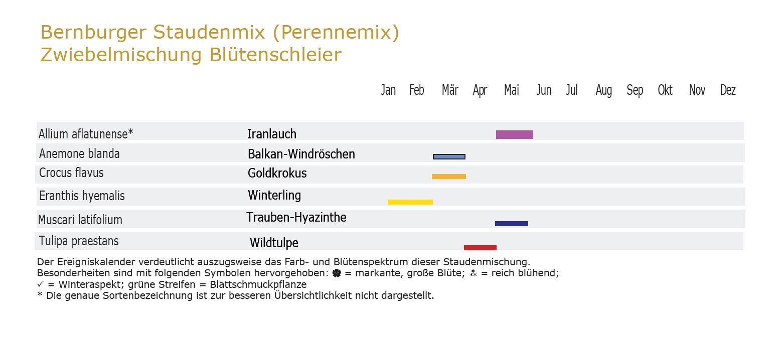 Blütenschleier - Zwiebel-und Knollenmischung