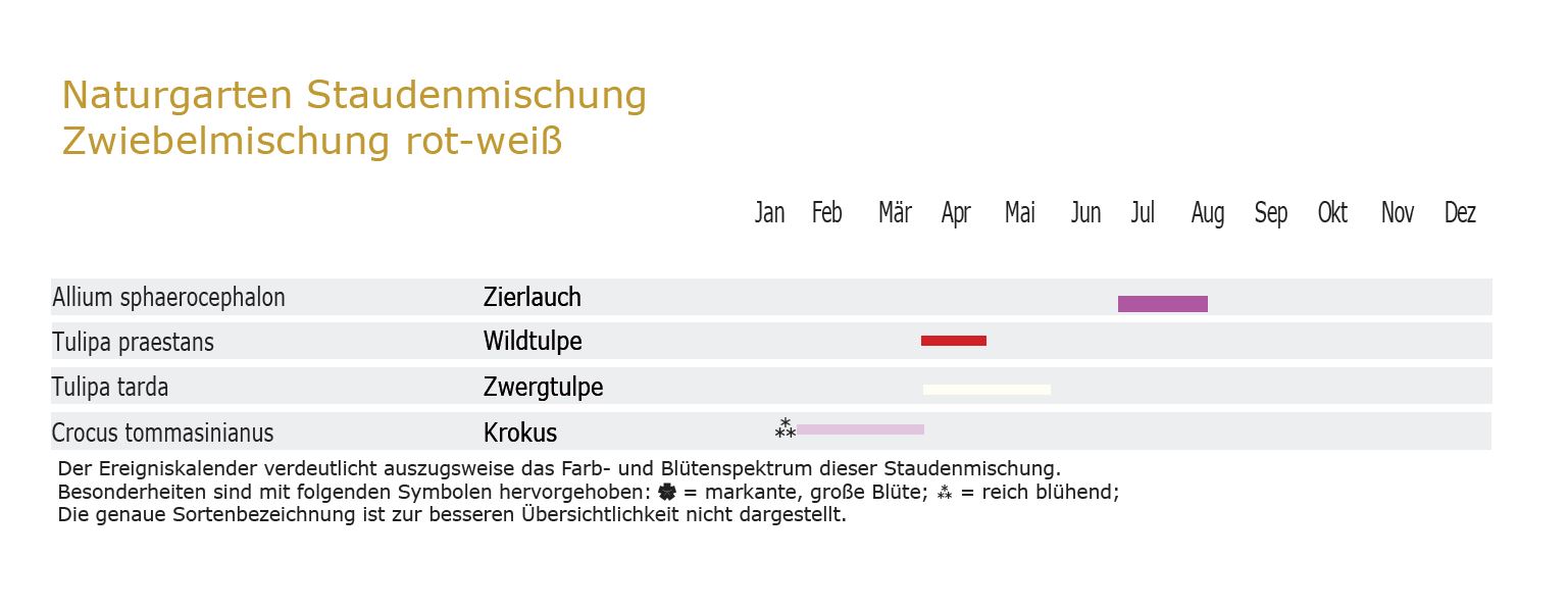 Blütensteppe rot-weiß - Zwiebel-und Knollenmischung