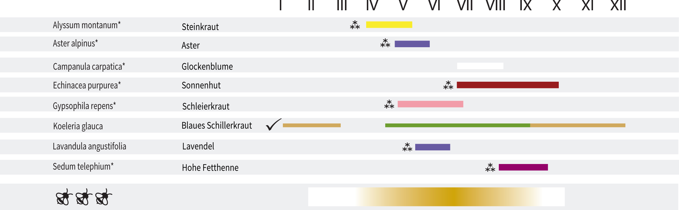 STM913 - Blühkalender