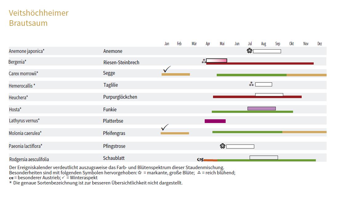 BRAUTSAUM - Staudenmischpflanzung als Fertigmischung