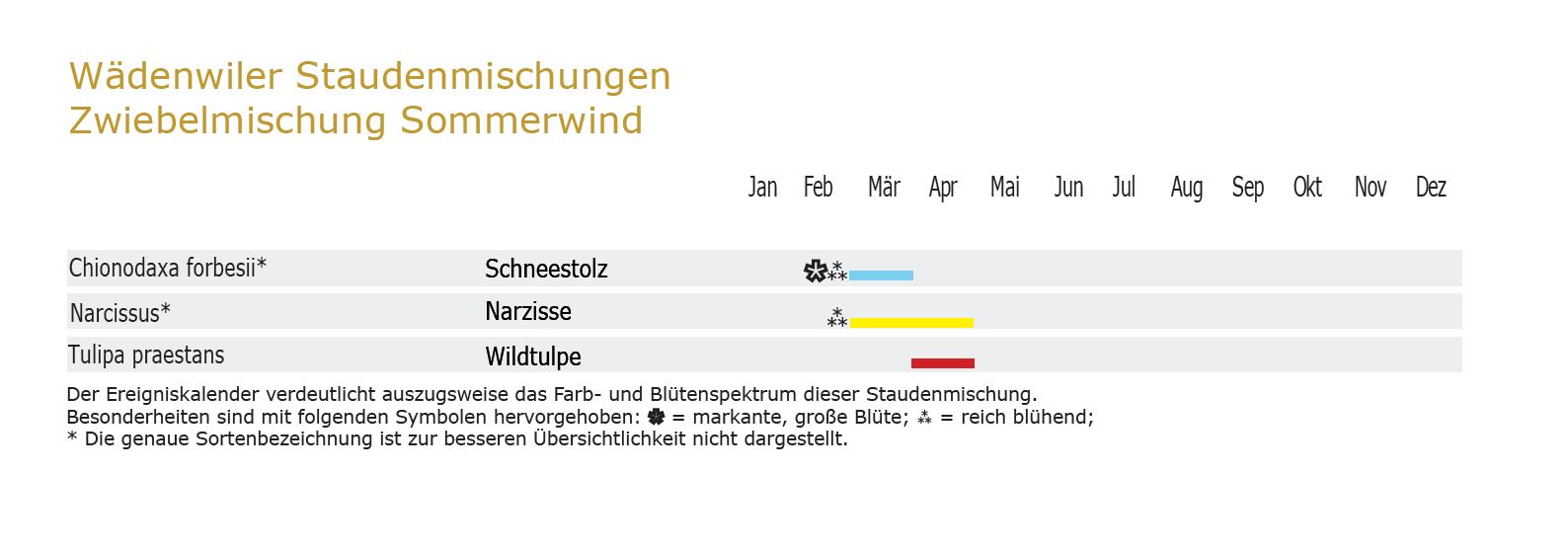 Sommerwind - Zwiebel-und Knollenmischung